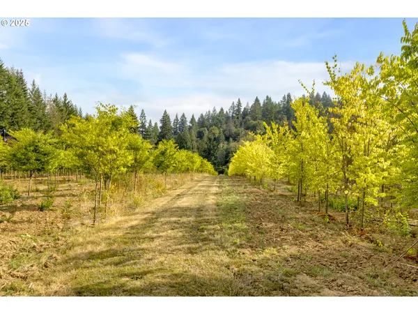 a view of a city and an ocean