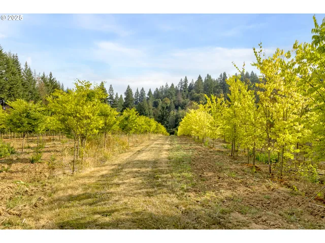 a view of a city and an ocean