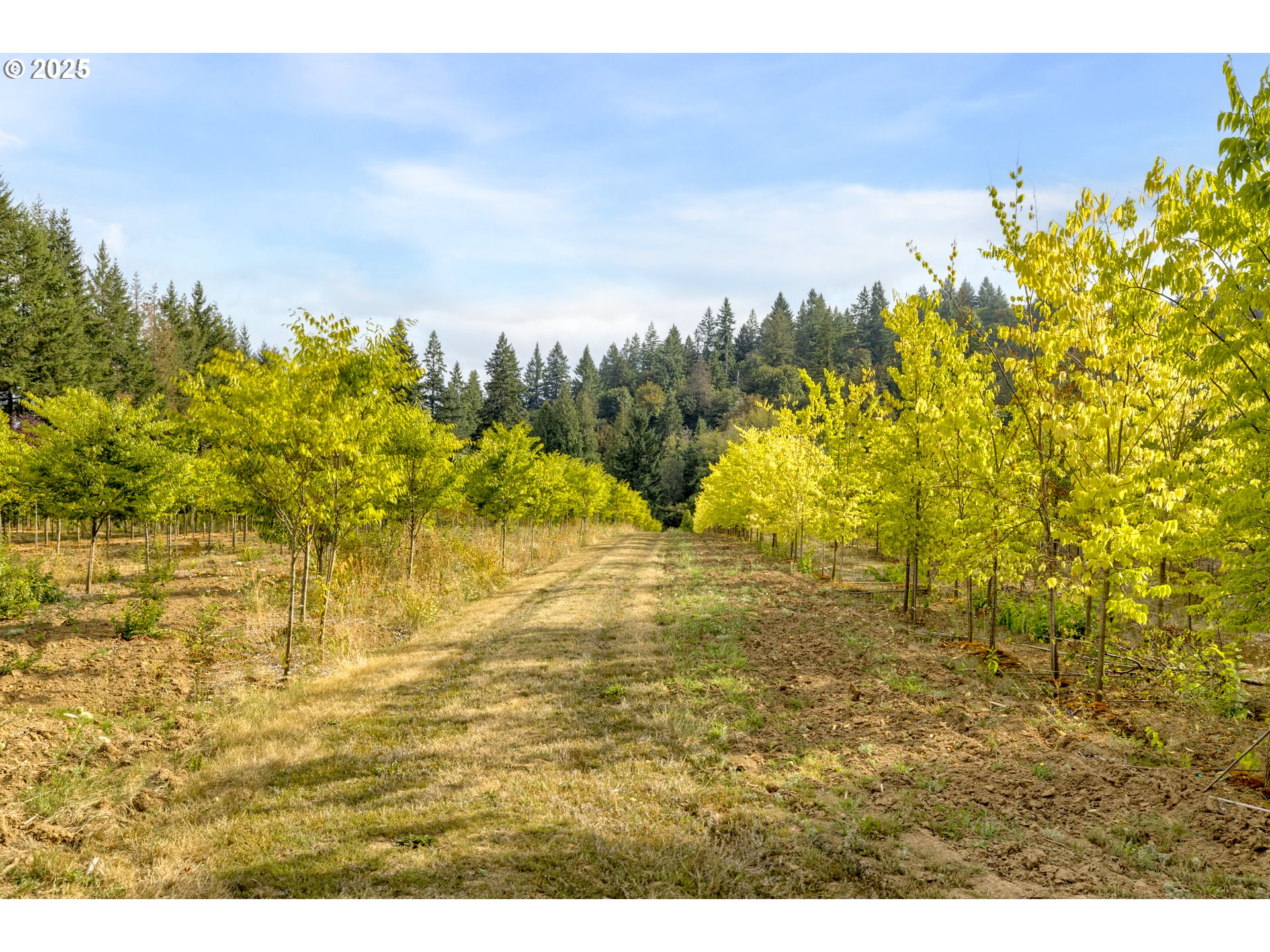 29630 Southeast Wheeler Road Boring, OR 97009 - Photo 10 of 46