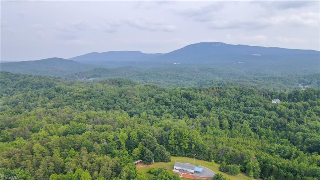 1747 Lynchburg Road Westfield, NC 27053 - Photo 11 of 50