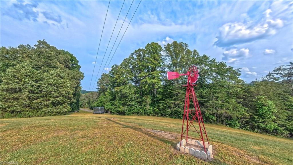 1747 Lynchburg Road Westfield, NC 27053 - Photo 25 of 50