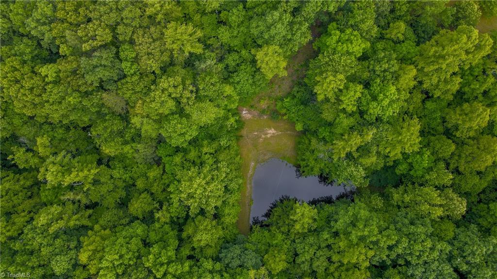 1747 Lynchburg Road Westfield, NC 27053 - Photo 9 of 50