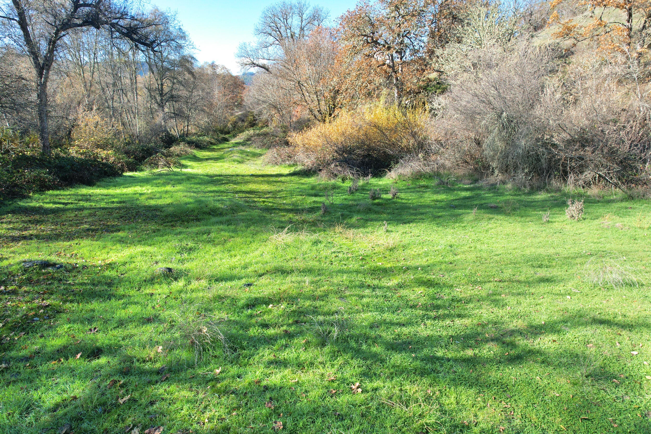 North Applegate Road Jacksonville, OR 97530 - Photo 39 of 51 lower pasture toward path to home site