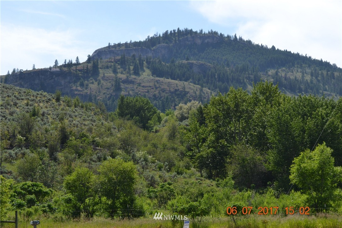 28 Golden Road Oroville, WA 98844 - Photo 16 of 16 Gallery Image 16