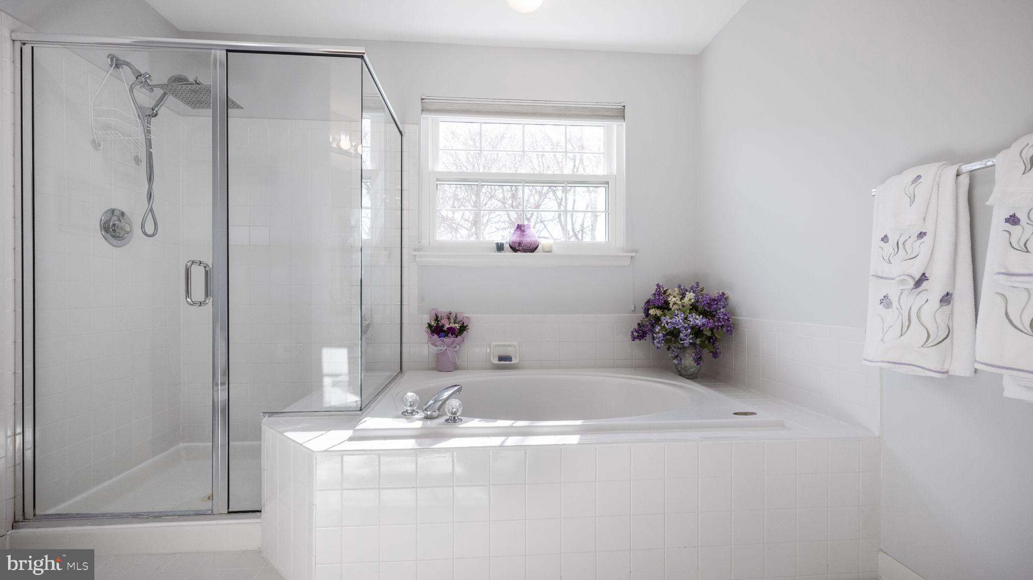 12904 Summit Ridge Terrace Germantown, MD 20874 - Photo 19 of 31 soaking tub