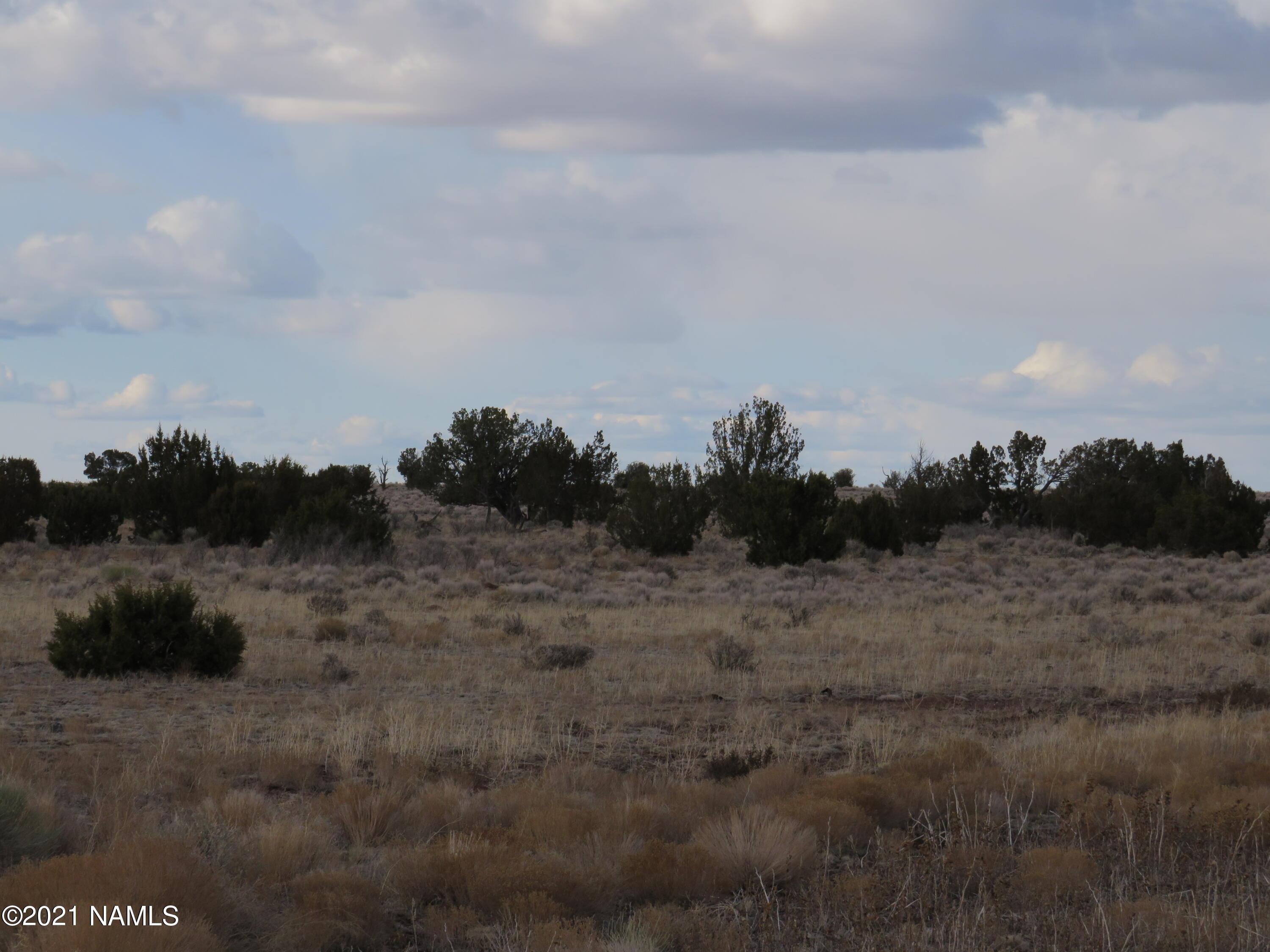 5180 Latigo Road, Unit 664 Williams, AZ 86046 - Photo 16 of 24 IMG_0221