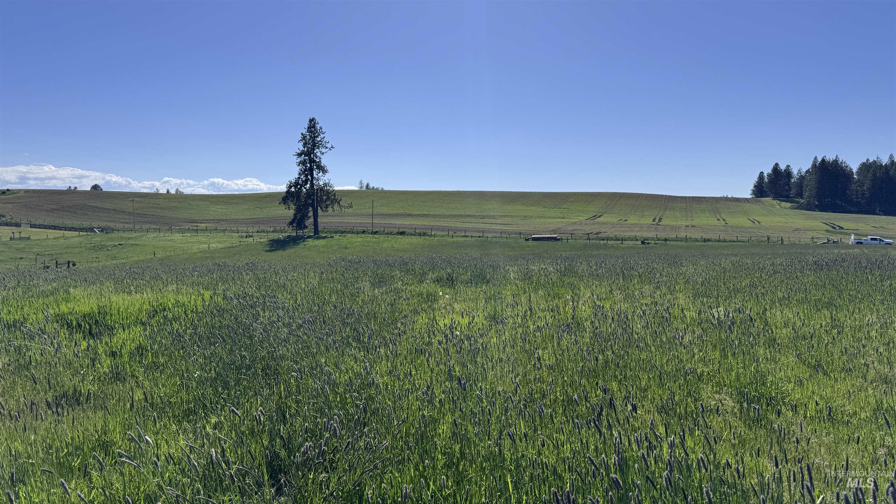 Tbd Harrisburg Road Kamiah, ID 83536 - Photo 5 of 50