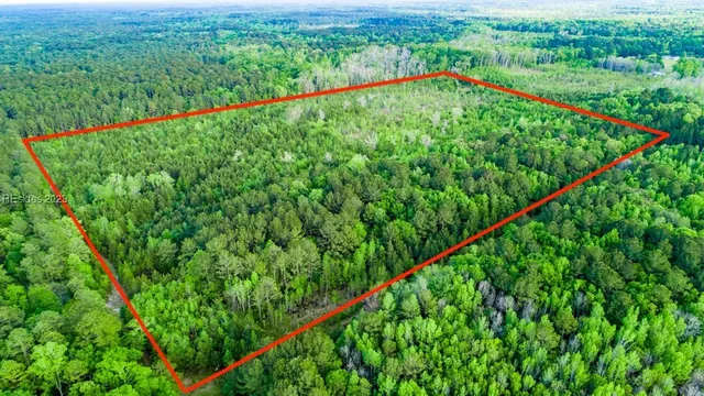 $650,000 | Tbd Dunham Williams Road, Hardeeville, SC 29927