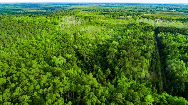 $650,000 | Tbd Dunham Williams Road, Hardeeville, SC 29927