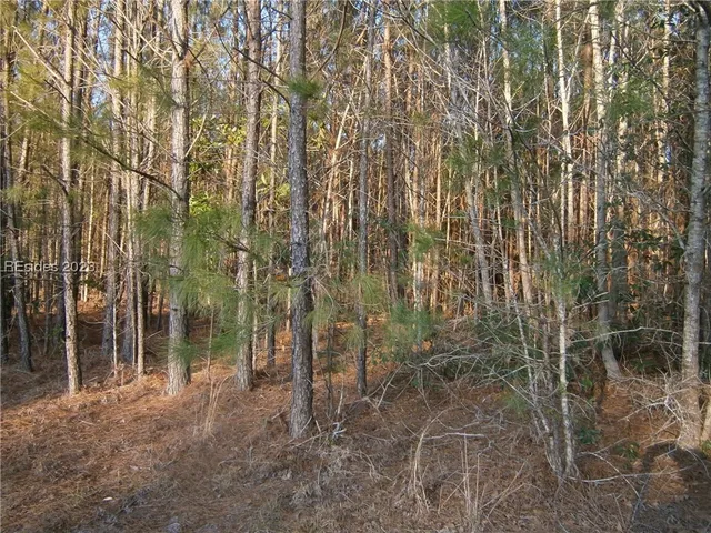 $650,000 | Tbd Dunham Williams Road, Hardeeville, SC 29927