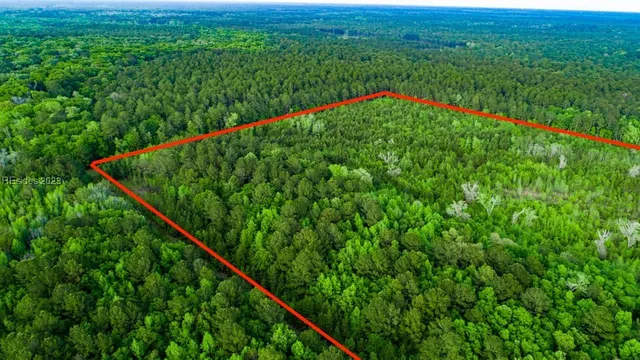 $650,000 | Tbd Dunham Williams Road, Hardeeville, SC 29927