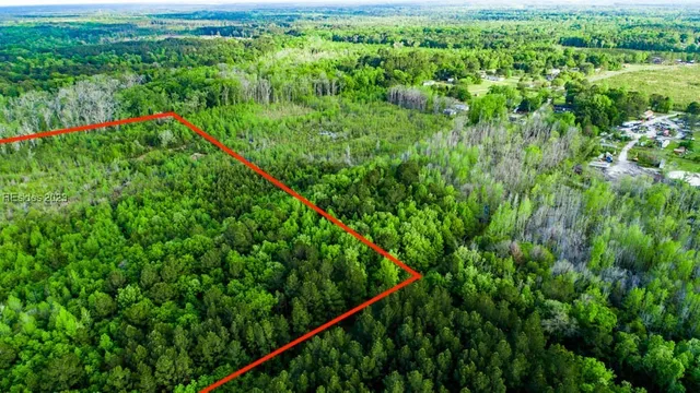 $650,000 | Tbd Dunham Williams Road, Hardeeville, SC 29927
