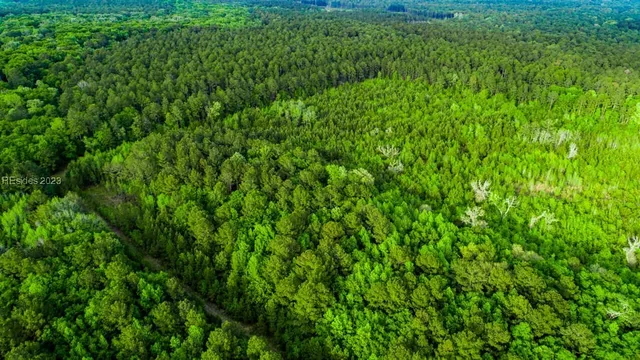 $650,000 | Tbd Dunham Williams Road, Hardeeville, SC 29927