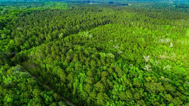 $650,000 | Tbd Dunham Williams Road, Hardeeville, SC 29927