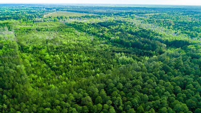 $650,000 | Tbd Dunham Williams Road, Hardeeville, SC 29927