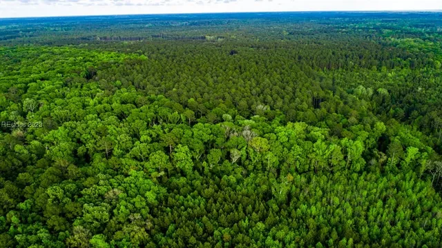 $650,000 | Tbd Dunham Williams Road, Hardeeville, SC 29927