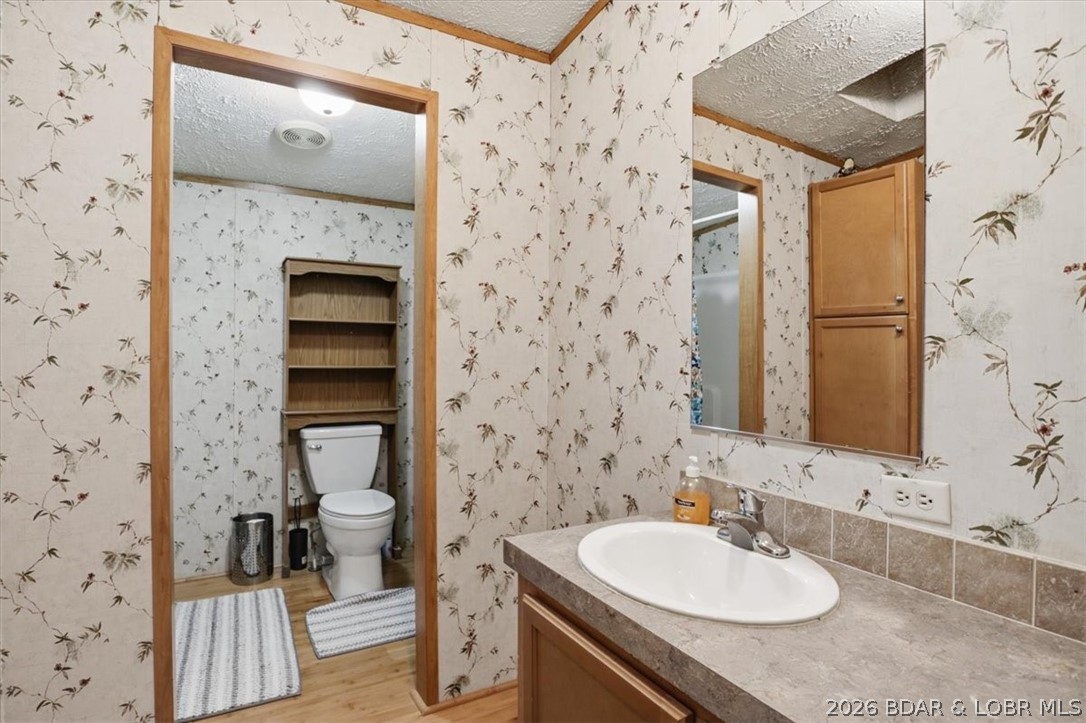305 Dry Ridge Road Camdenton, MO 65020 - Photo 19 of 27 Guest Bath