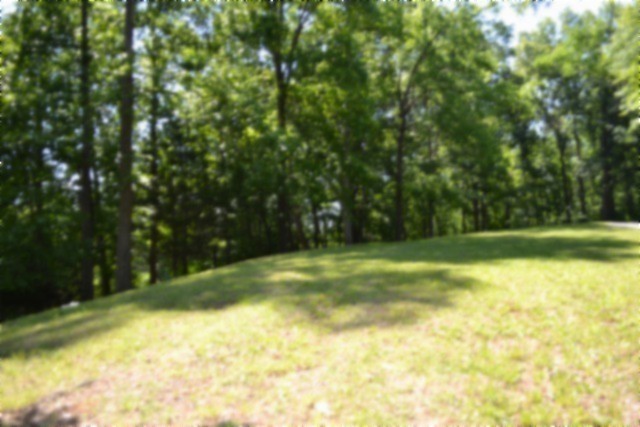 318 Rock Springs Road Celina, TN 38551 - Photo 72 of 87 a view of a yard with a trees
