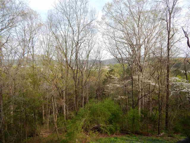 8866 Windhaven Road Ooltewah, TN 37363 - Photo 27 of 35 RCAR20161828R