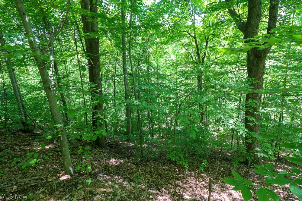 Hines Ridge Rd Port Port Washington, OH 43837 - Photo 24 of 35 Gallery Image 24
