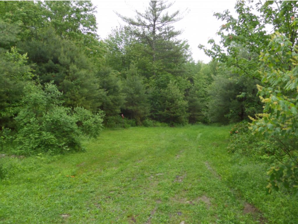 427 Bemis Farm Road Marshfield, VT 05667 - Photo 11 of 13 Gallery Image 11