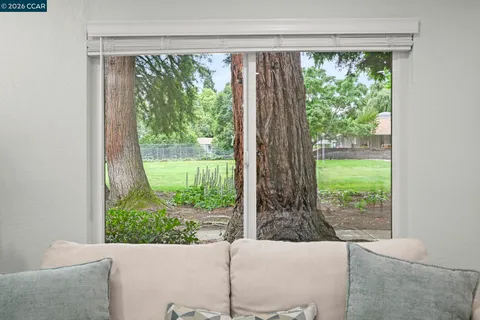 a view of a from a window in a room