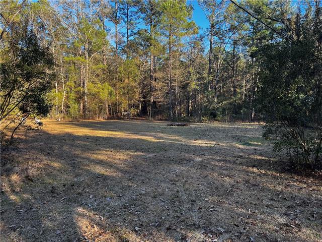 79468 Bruhl Road Folsom, LA 70437 - Photo 1 of 8 Gallery Image 1