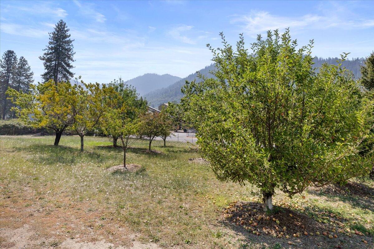5280 North River Road Rogue River, OR 97537 - Photo 3 of 36 02-CI_0295
