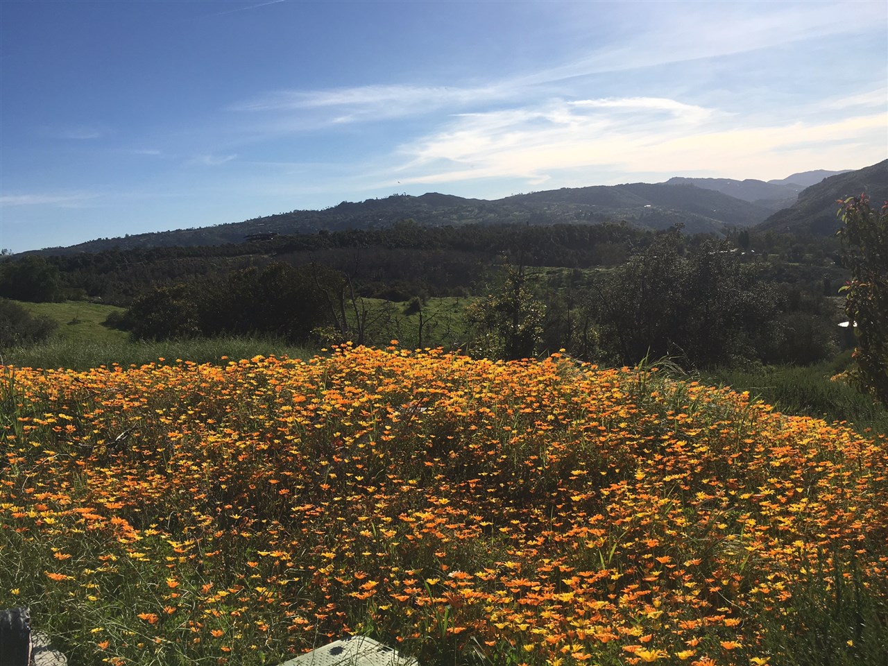 Paymaster Rd Valley Center Valley Center, CA 92082 - Photo 1 of 25 Hurry and get out there to enjoy the spring flowers at the corner of this parcel. VIEWS...