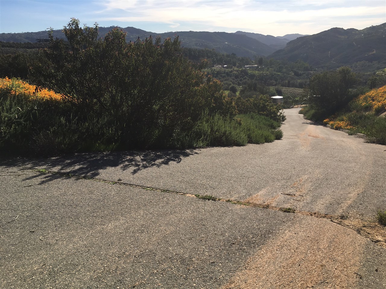 Paymaster Rd Valley Center Valley Center, CA 92082 - Photo 17 of 25 Parcel to the top left & running down Paymaster Rd. to just before neighbors water tank in photo.