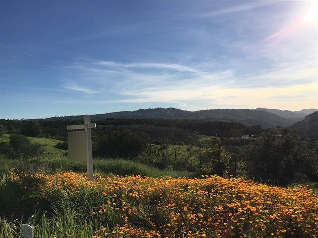 Paymaster Rd Valley Center Valley Center, CA 92082 - Photo 22 of 25 Looking across this Parcel and beyond!