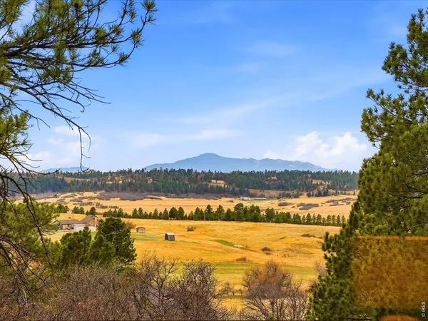 $1,375,000 | 8987 Village Pines Circle, Franktown, CO 80116