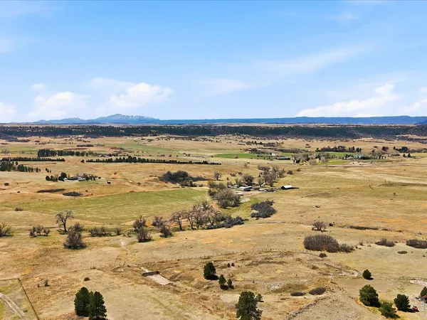 $1,375,000 | 8987 Village Pines Circle, Franktown, CO 80116