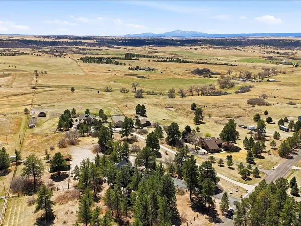$1,375,000 | 8987 Village Pines Circle, Franktown, CO 80116