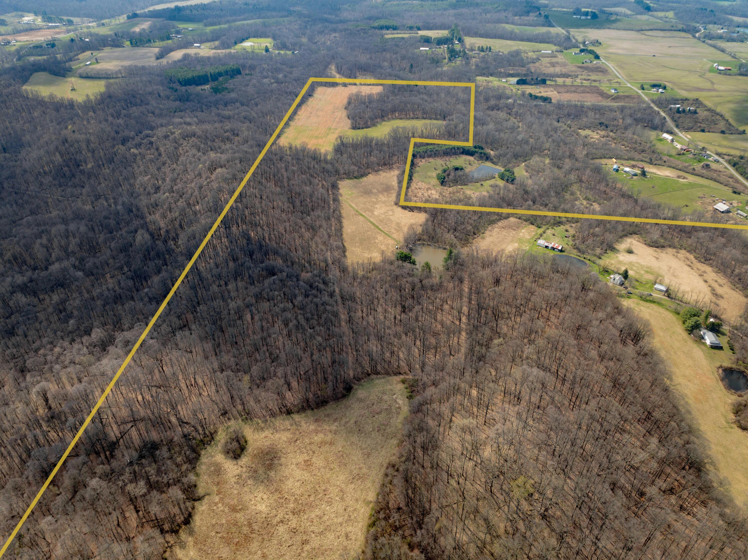 14120 Union Road Laurelville, OH 43135 - Photo 8 of 23 Gibson-Hocking-Land-27A