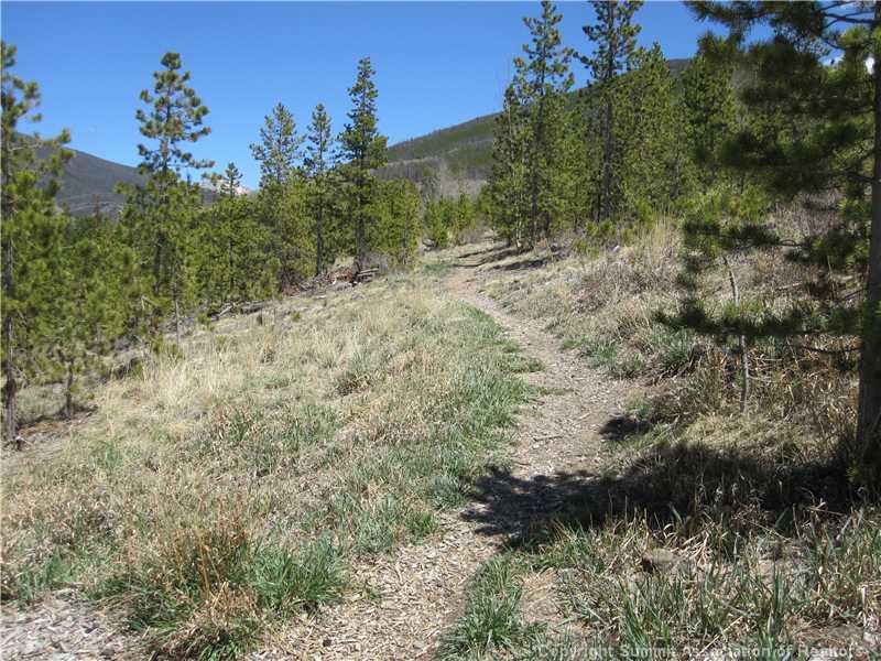 110 Evergreen Road, Unit 301B Dillon, CO 80435 - Photo 16 of 17 Gallery Image 16