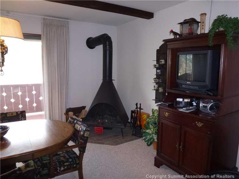 110 Evergreen Road, Unit 301B Dillon, CO 80435 - Photo 3 of 17 Gallery Image 3
