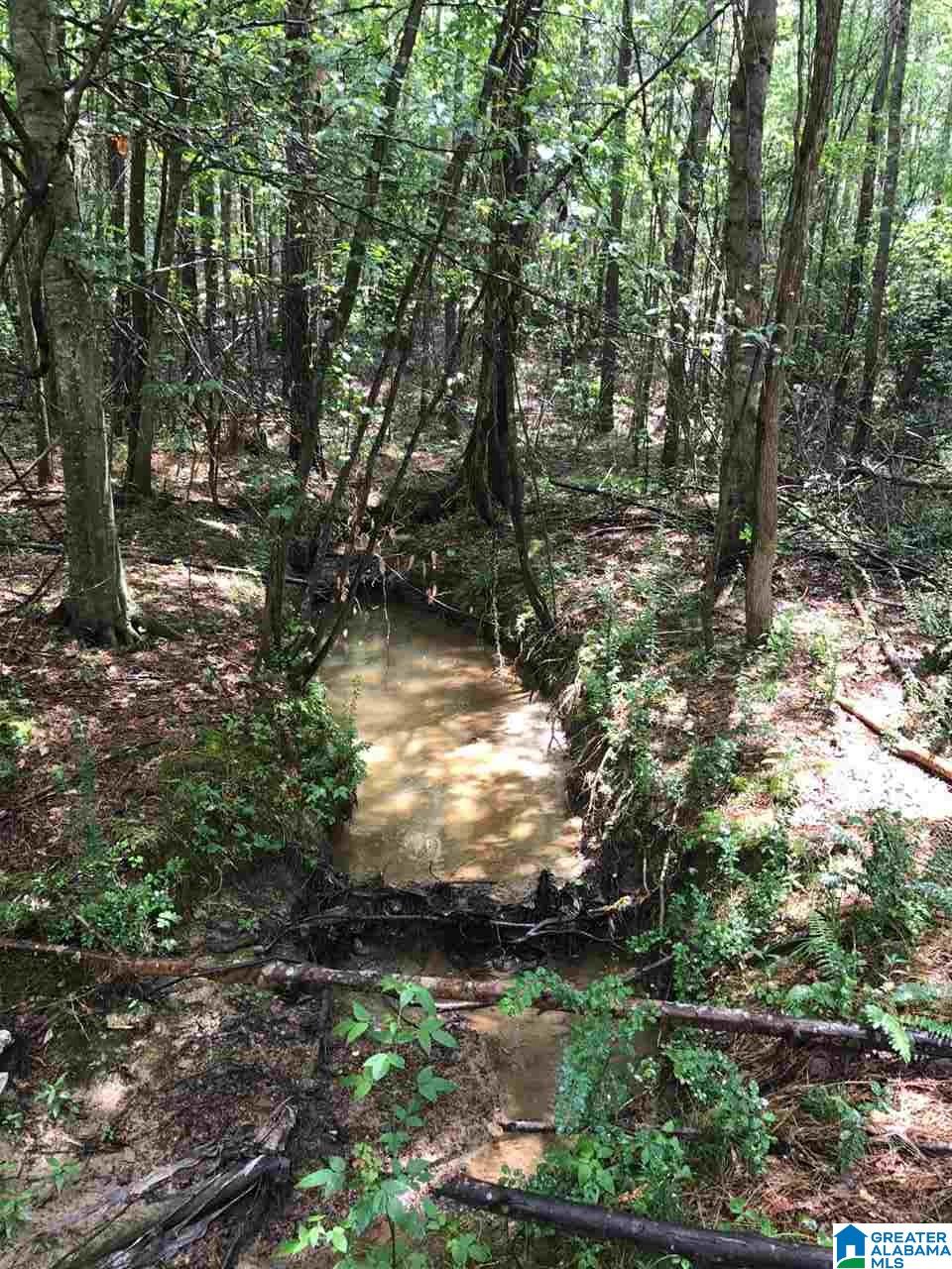 0 Blackjack Road, Unit 22 / ACRES Trussville, AL 35173 - Photo 7 of 7