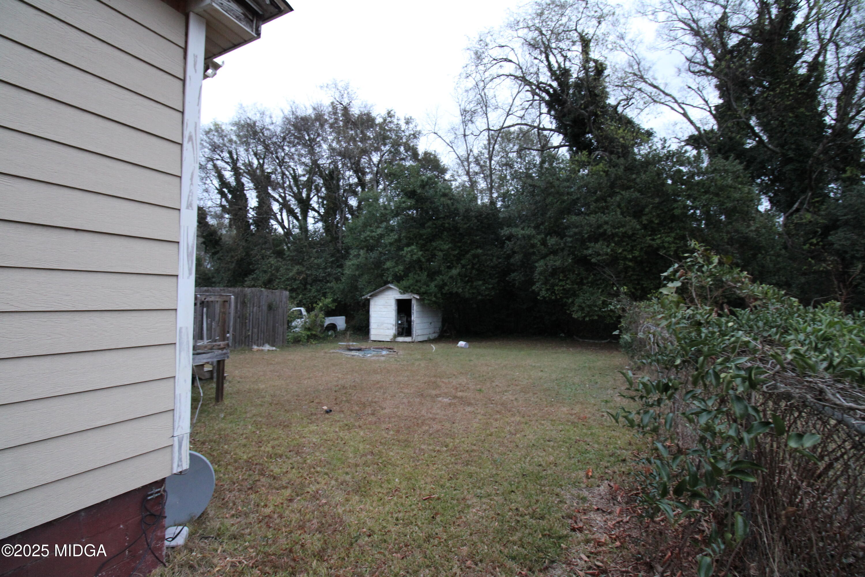 769 Bowman Street Macon, GA 31217 - Photo 10 of 12 a view of backyard and tree
