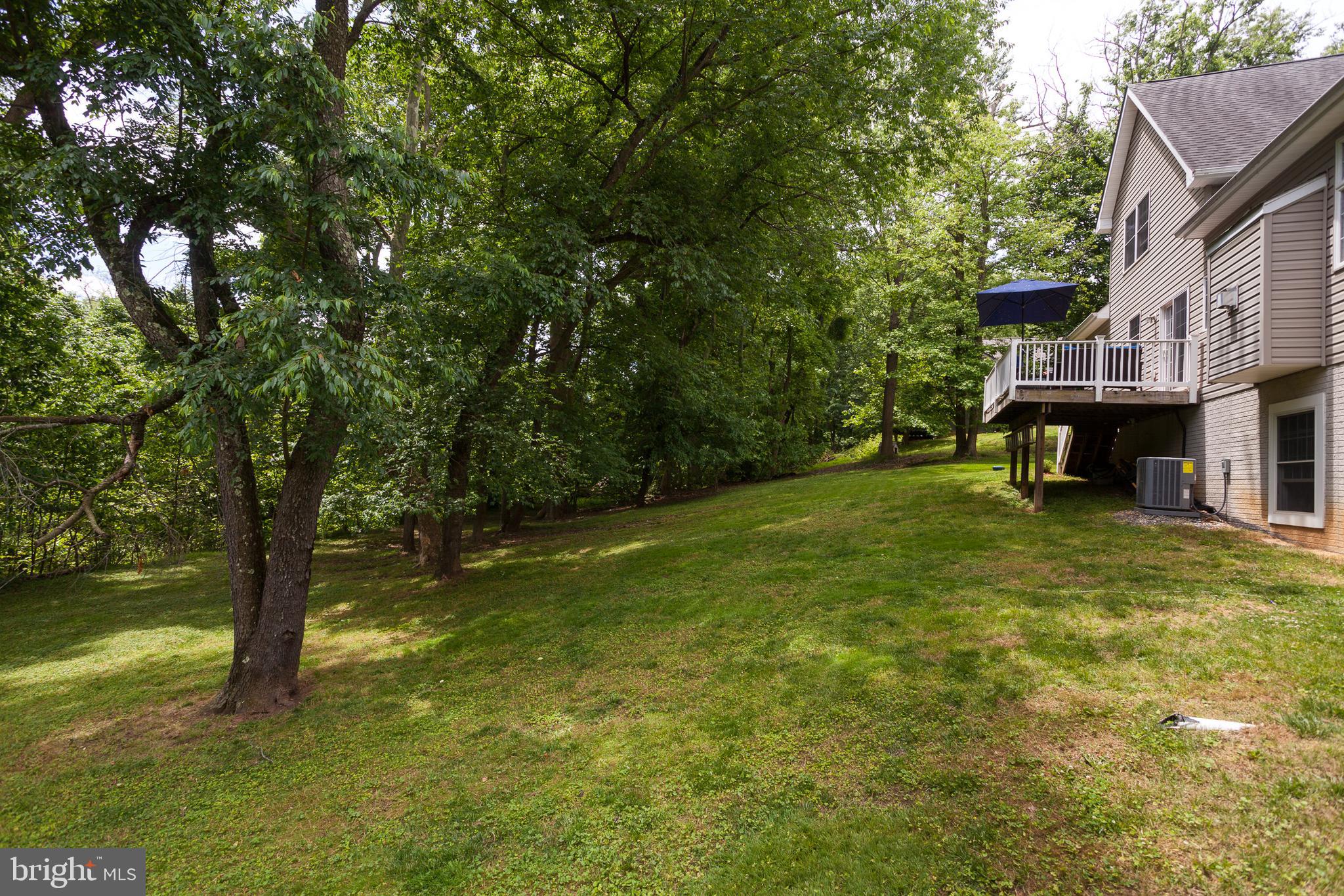 5270 Turkey Point Road North East, MD 21901 - Photo 35 of 43 Large side yard