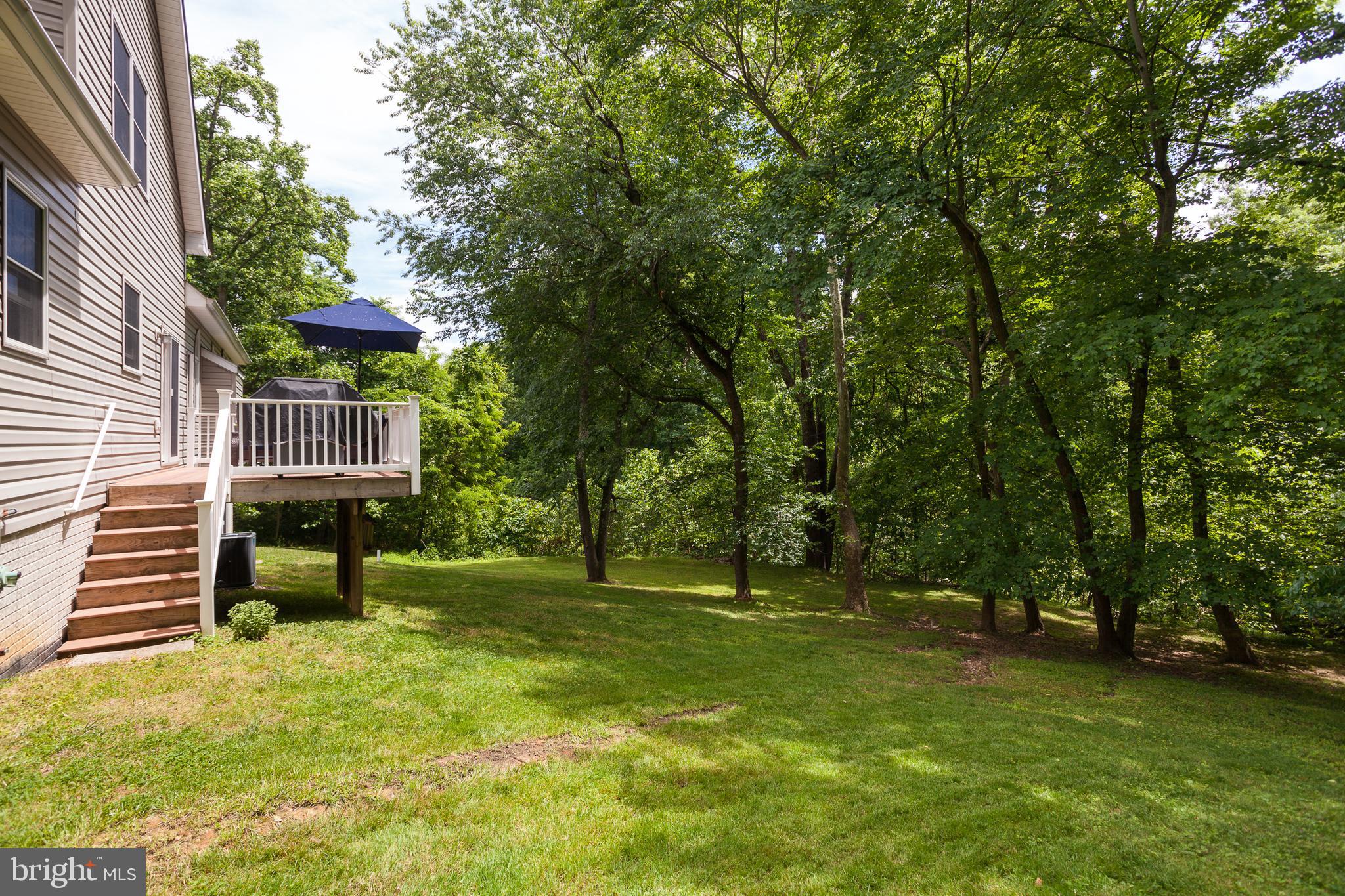 5270 Turkey Point Road North East, MD 21901 - Photo 36 of 43 Large side yard