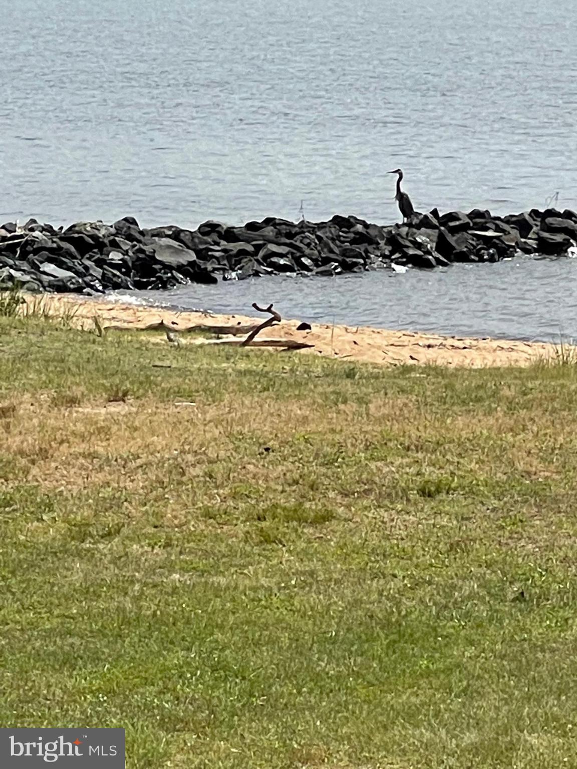 5270 Turkey Point Road North East, MD 21901 - Photo 41 of 43 Enjoy nature