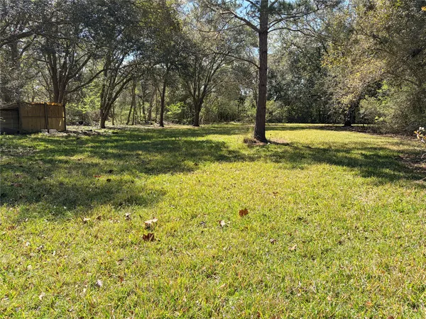 a view of a yard with large trees