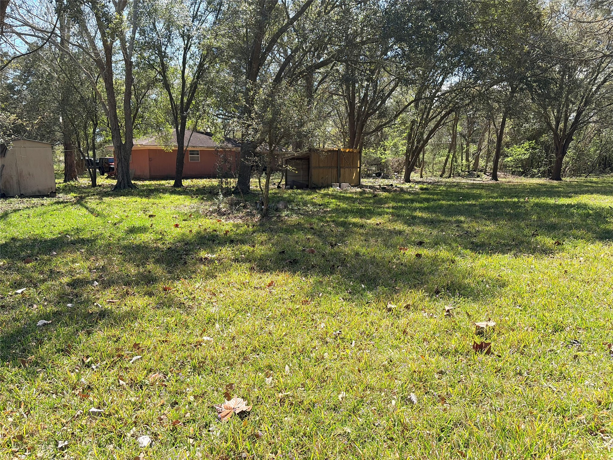 13502 30th Street Santa Fe, TX 77510 - Photo 11 of 16 a view of a house with a big yard and large trees