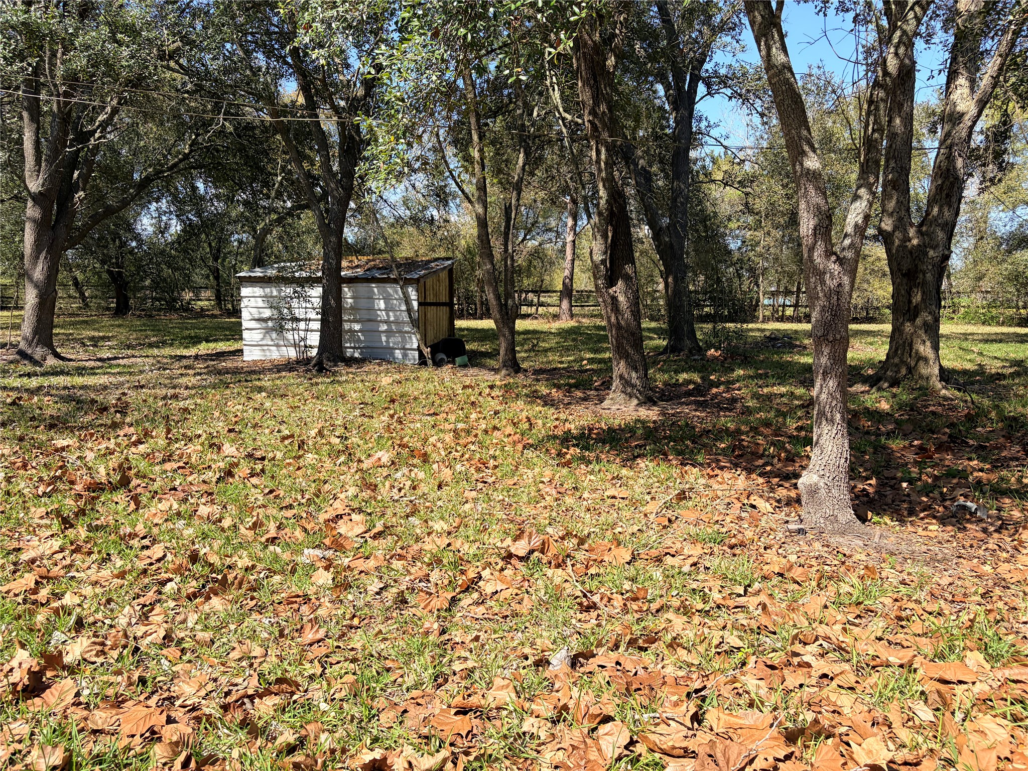 13502 30th Street Santa Fe, TX 77510 - Photo 12 of 16 a view of a yard with large trees