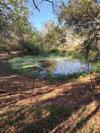 a view of yard with tree