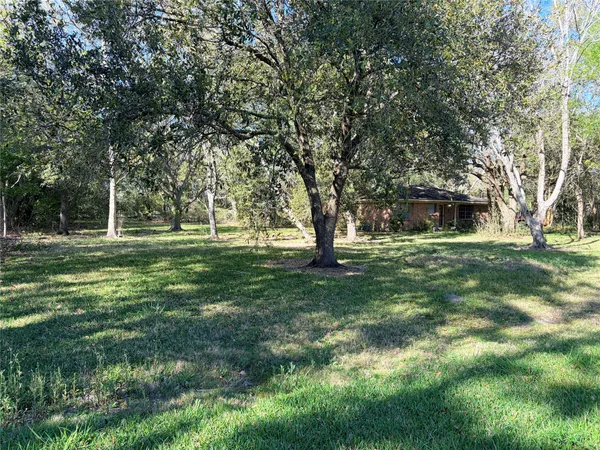 a view of a trees in a yard