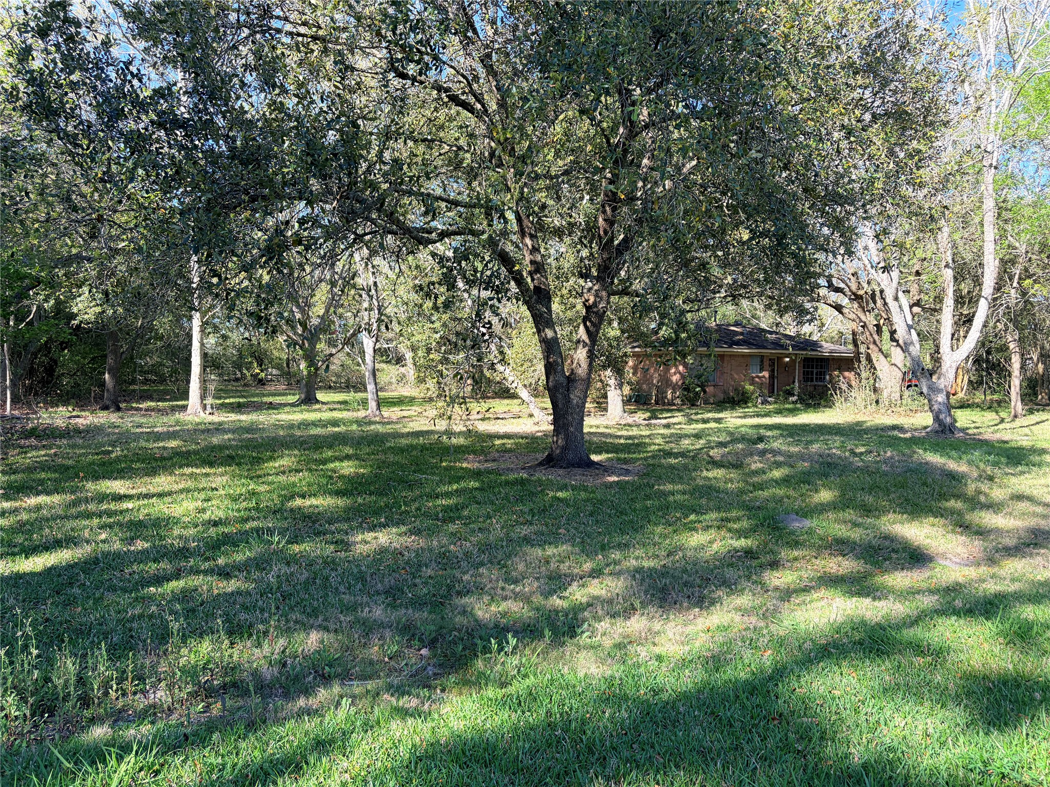 13502 30th Street Santa Fe, TX 77510 - Photo 9 of 16 a view of a trees in a yard