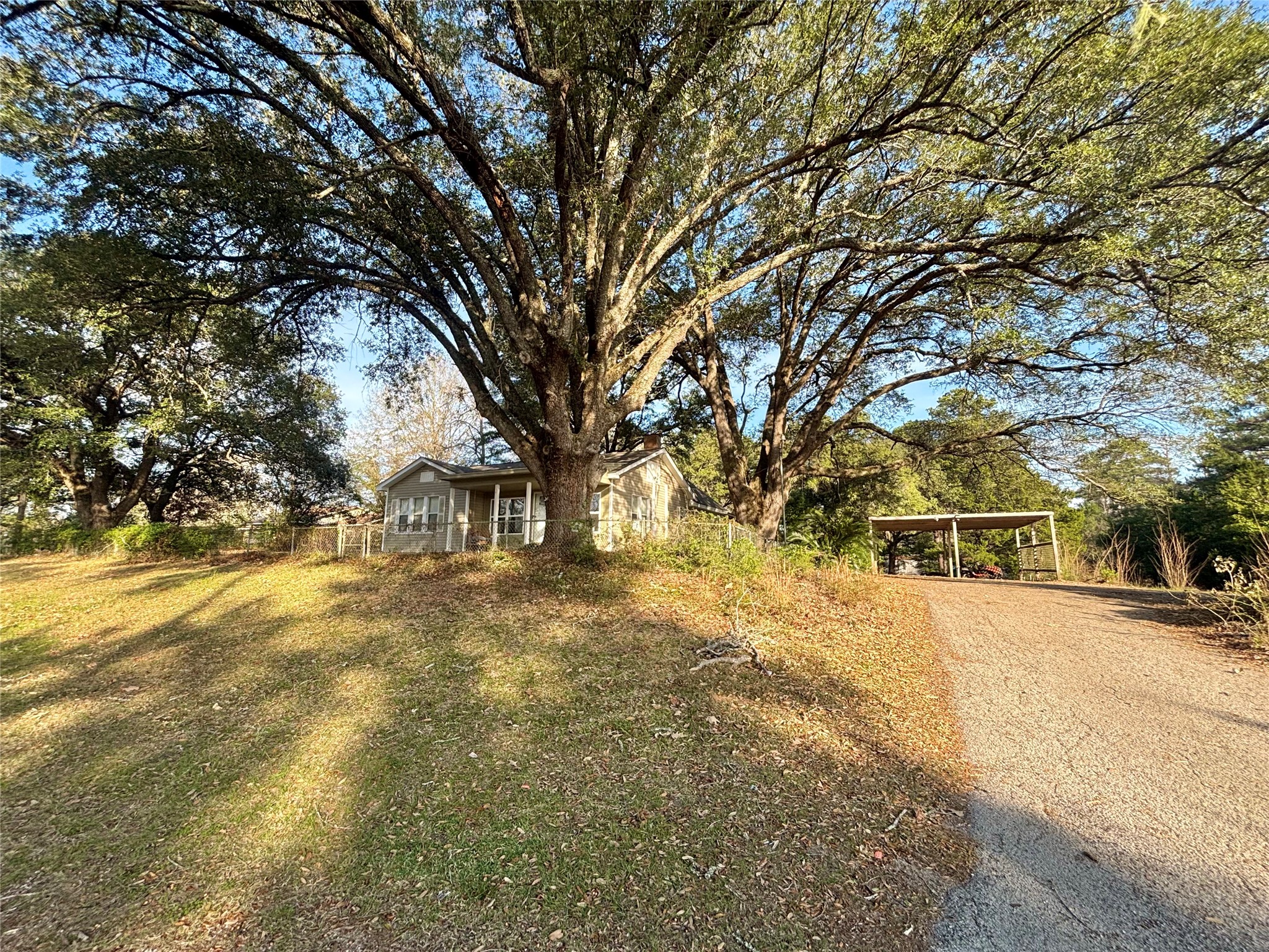 408 West Elder Street Colmesneil, TX 75938 - Photo 2 of 28 a view of a yard with large trees