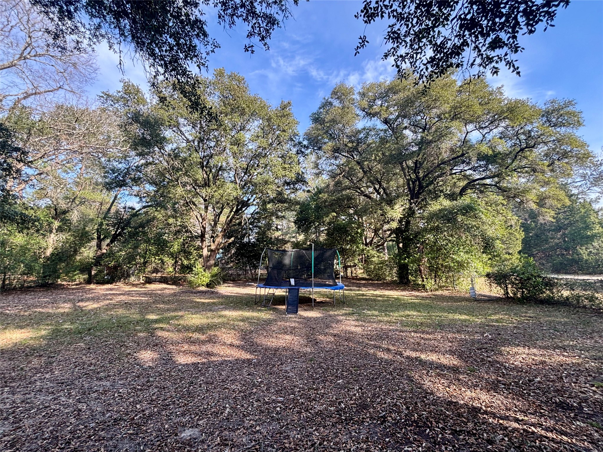 408 West Elder Street Colmesneil, TX 75938 - Photo 26 of 28 a view of outdoor space with trees